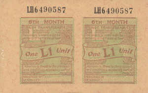 Petrol Coupon 2