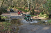 ford2