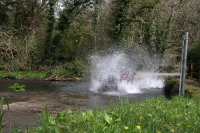 ford6