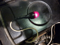 Bulb